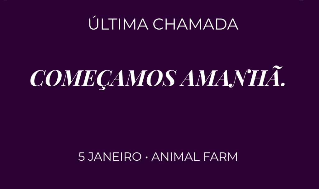 animal farm book club day 4