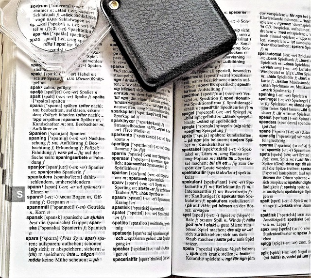 a book, dictionary, swedish german, language, magnifying glass, magnification, translate, looking for, find, read, write, to learn, dictionary, dictionary, dictionary, dictionary, dictionary, language, language, language, translate, translate