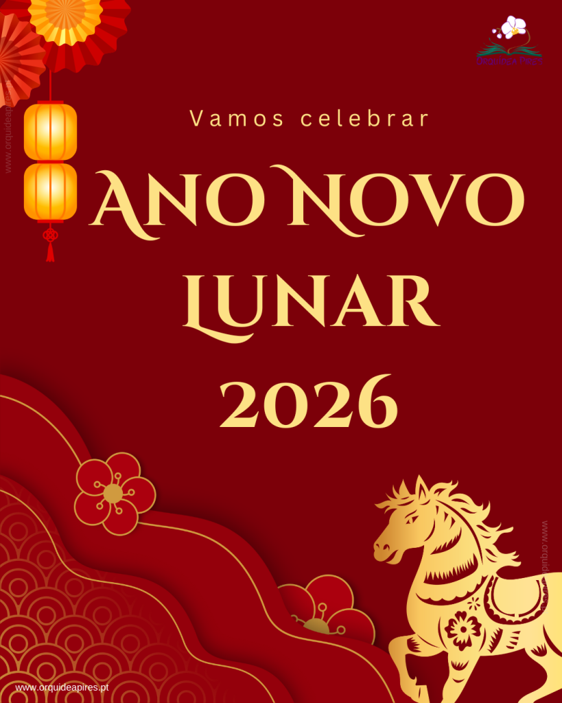 lunar new year 2026