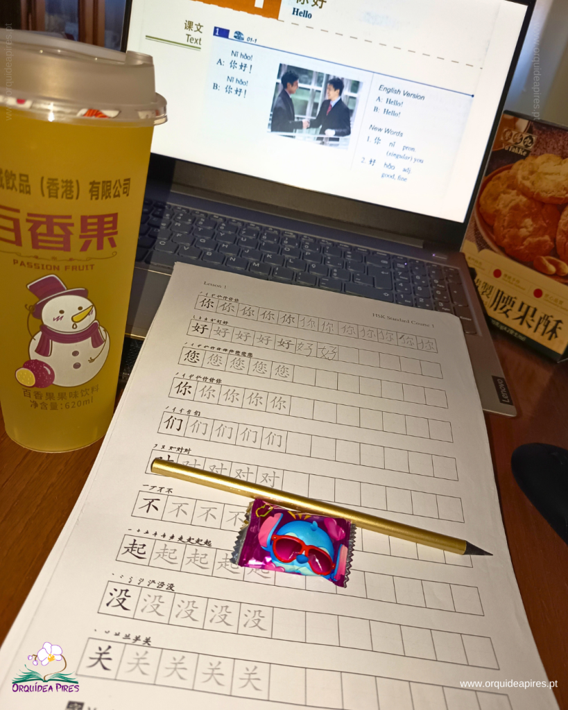 Materiais de estudo de mandarim, com exercícios de escrita de caracteres chineses em primeiro plano e uma aula aberta no computador.